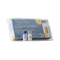Zoetis Vanguard Plus 5l4 CV for Dogs, 1 Dose - Animeal