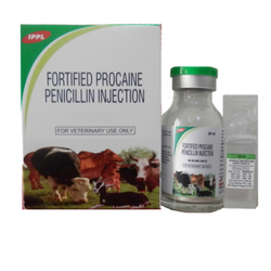 Zydus Fortified Procaine Penicillin 3g for Cattle, 10ml - Animeal