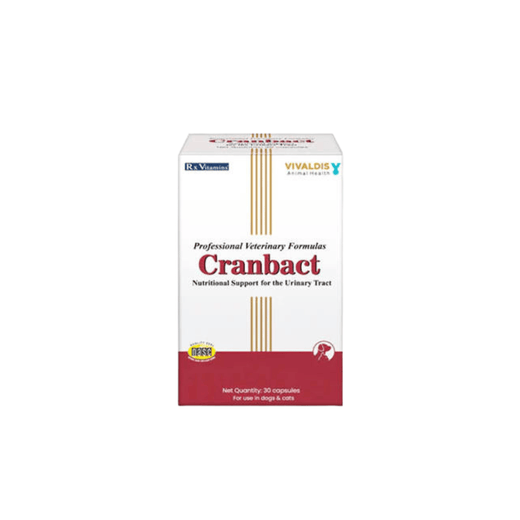 Animeal