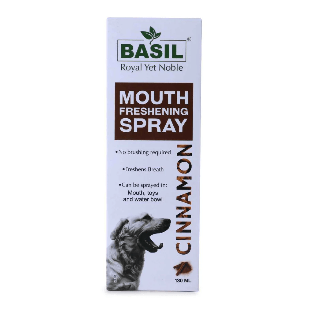 BS MOUTHSPRAY CINNAMON