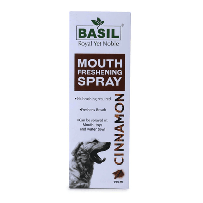 BS MOUTHSPRAY CINNAMON