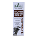 BS MOUTHSPRAY CINNAMON