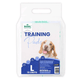 BS TRAINING PAD (60X60) (S)
