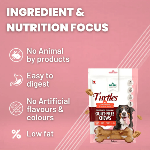 BS TURTLES FOR DOG TREAT