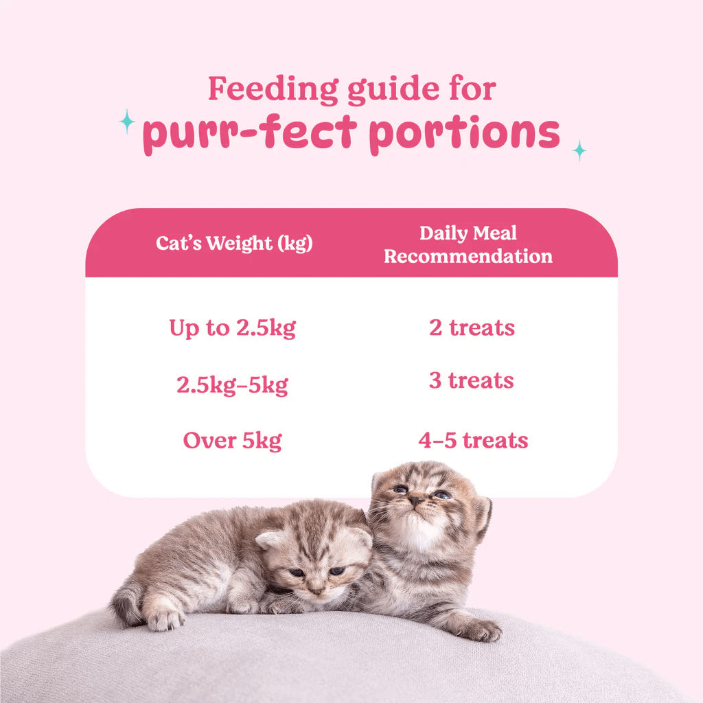 BS PURRFECT CHIC TREAT
