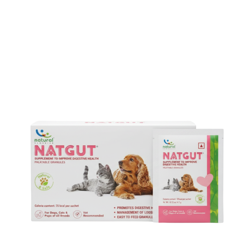 NATGUT SACHET